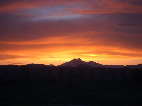 2005.04.18pm.2.jpg